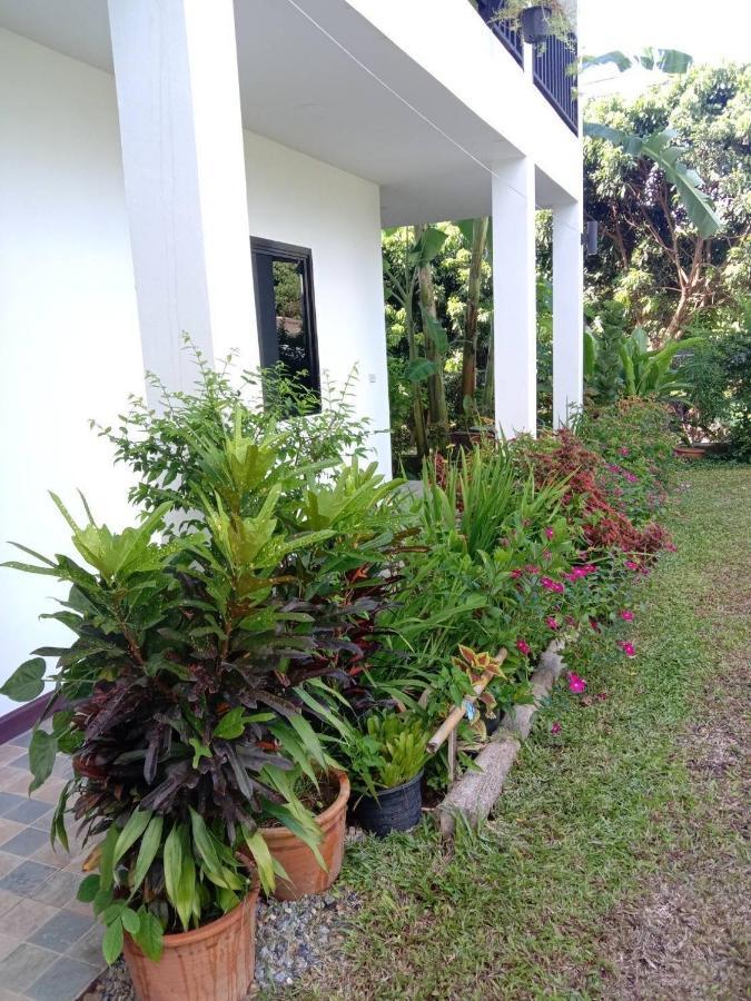 Miggi'S Home Mae On Luaran gambar